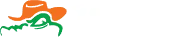 JOE TEX LLC logo