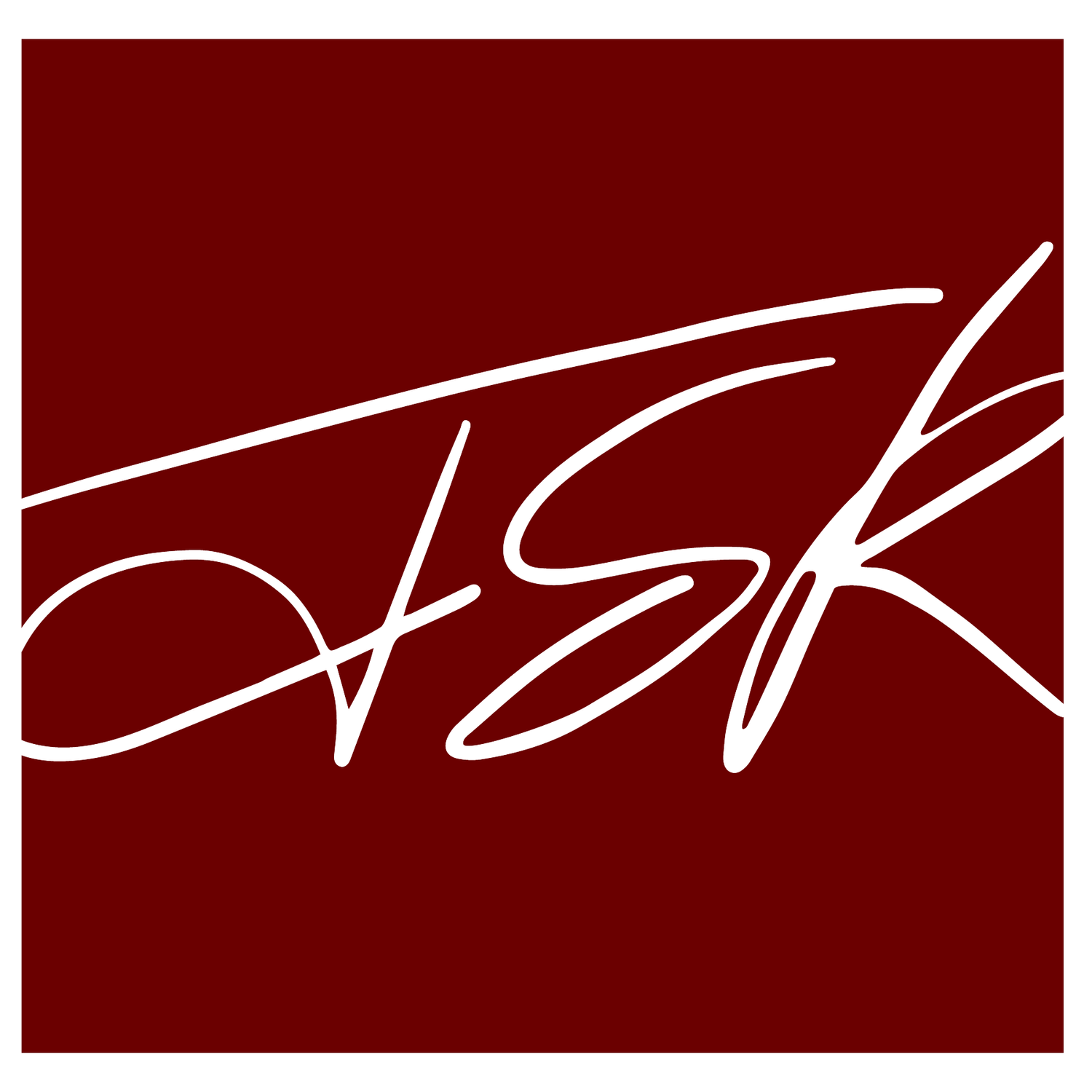 JSR ASSOCIATES INC logo