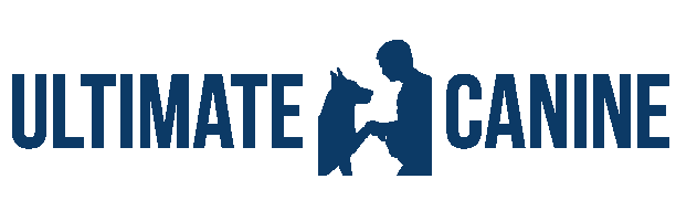 JULIE CASE logo