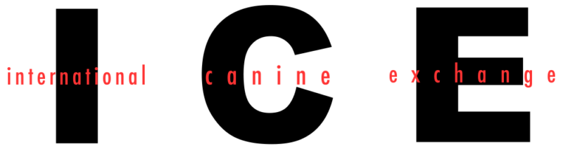 K9 INSTINCTS INC logo