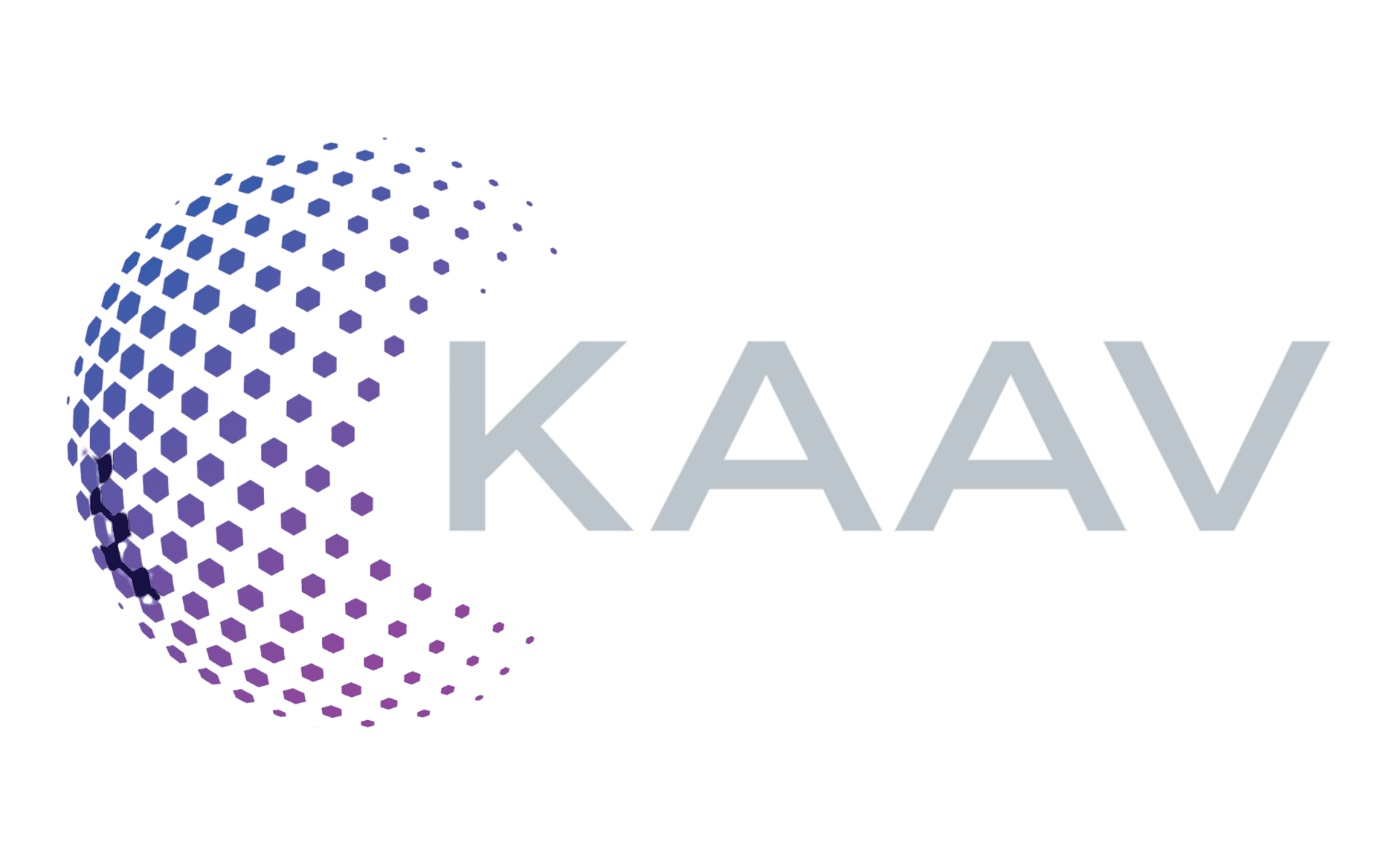 KAAV INC logo