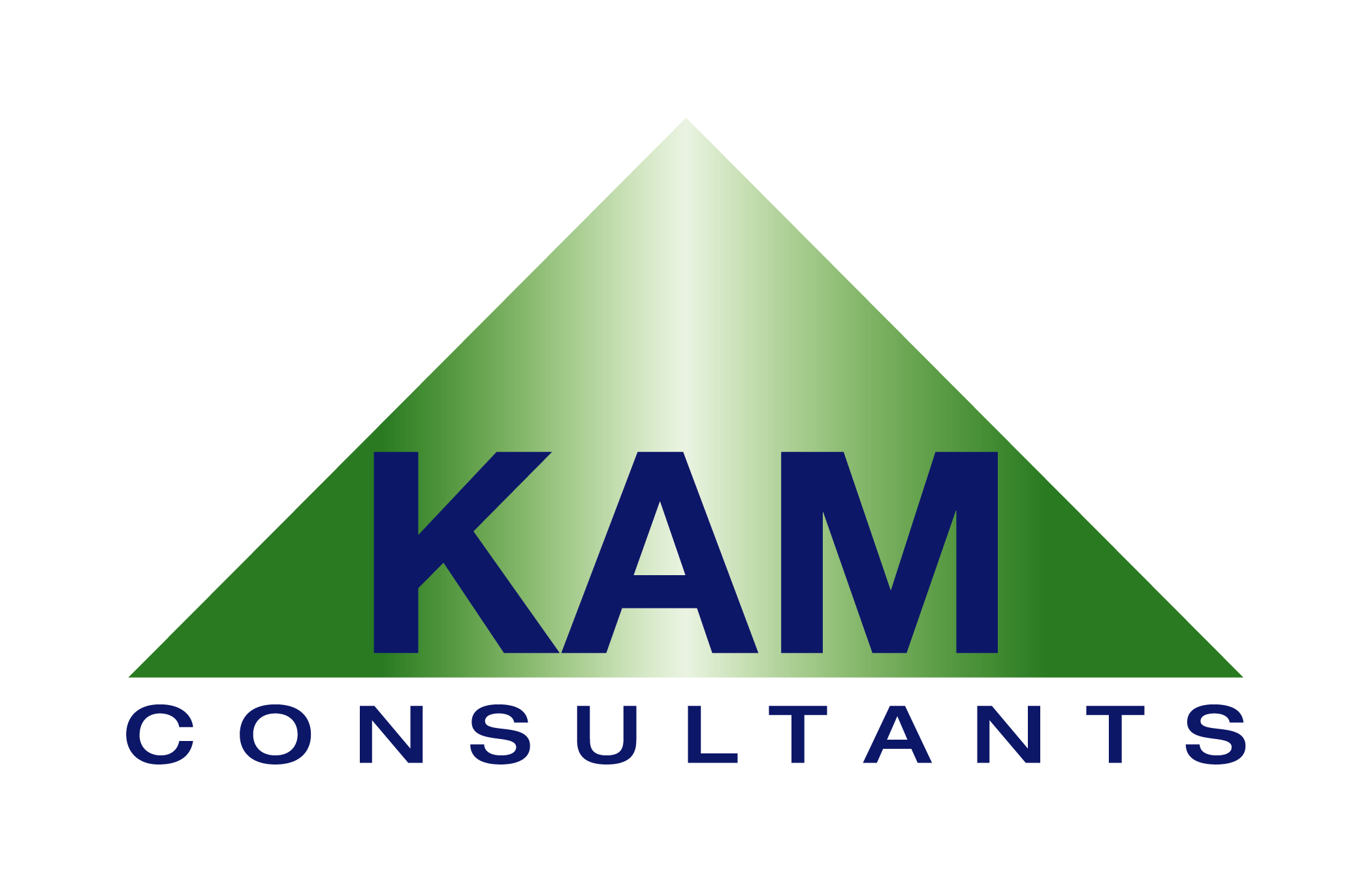 KAM CONSULTANTS CORP logo