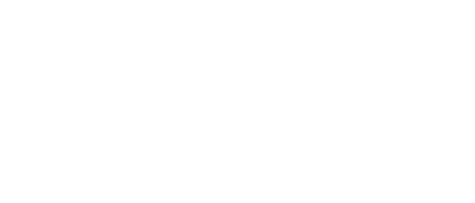 KAMI logo