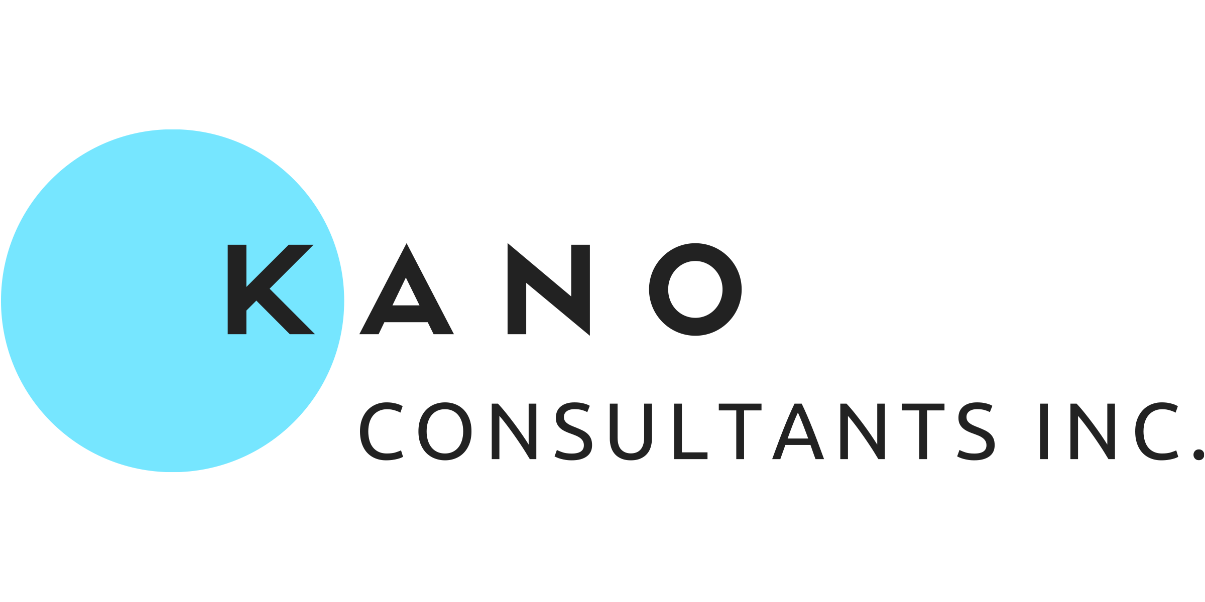 KANO CONSULTANTS logo