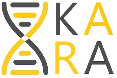 KARA CONSULTS LLC logo
