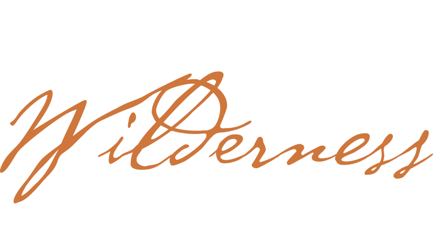 KATMAI WILDERNESS LODGE LLC logo