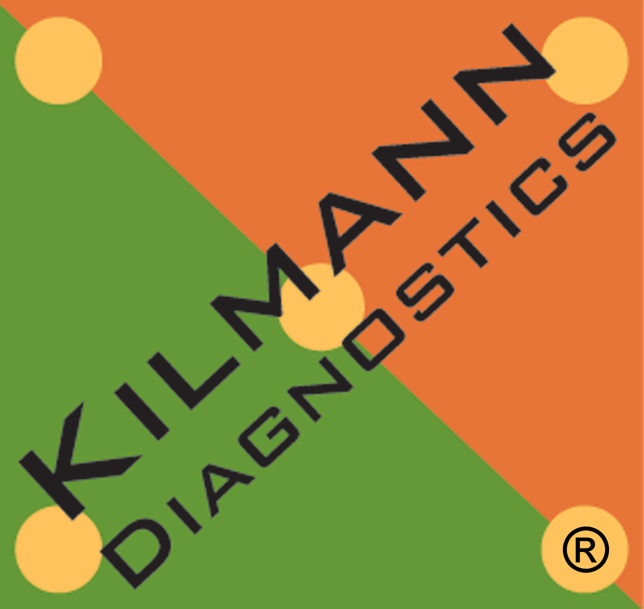 KILMANN DIAGNOSTICS LLC logo