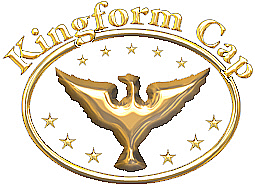 KINGFORM CAP CO INC logo