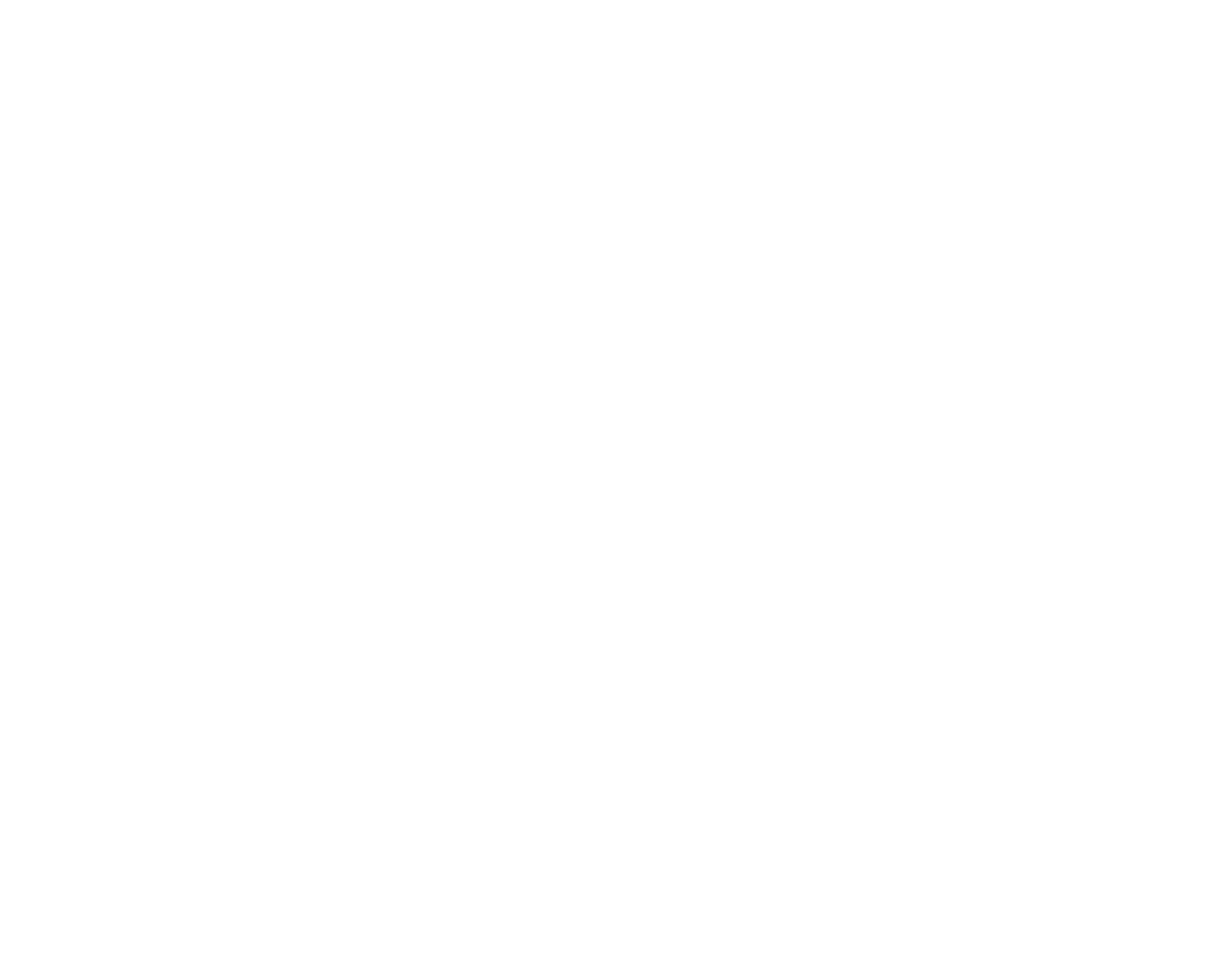 KLOSH GROUP INC logo