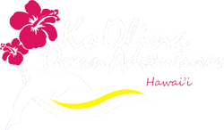 KO OLINA OCEAN ADVENTURES, INC. logo