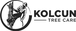 KOLCUN TREE CARE LLC logo