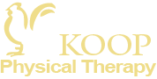 KOOP PHYSICAL THERAPY, P.C logo