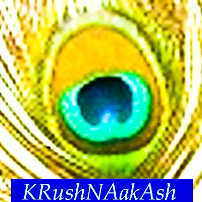 KRUSHNAAKASH TECHNOLOGY SERVICES, LLC logo