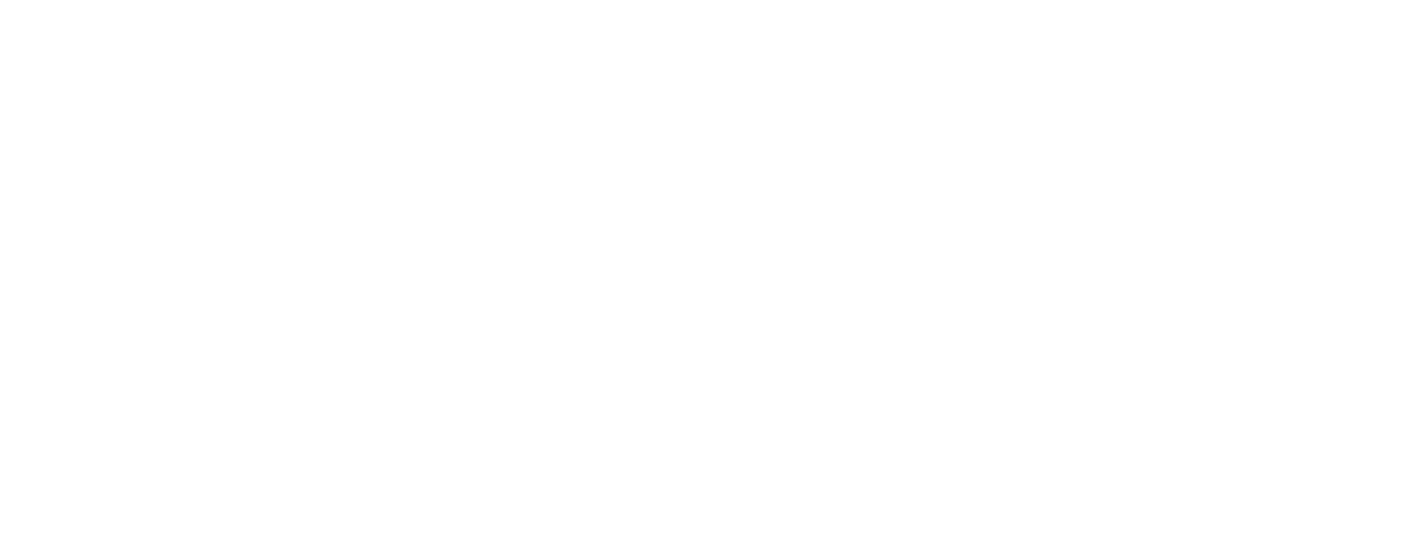 KUO & ASSOCIATES, LLC logo
