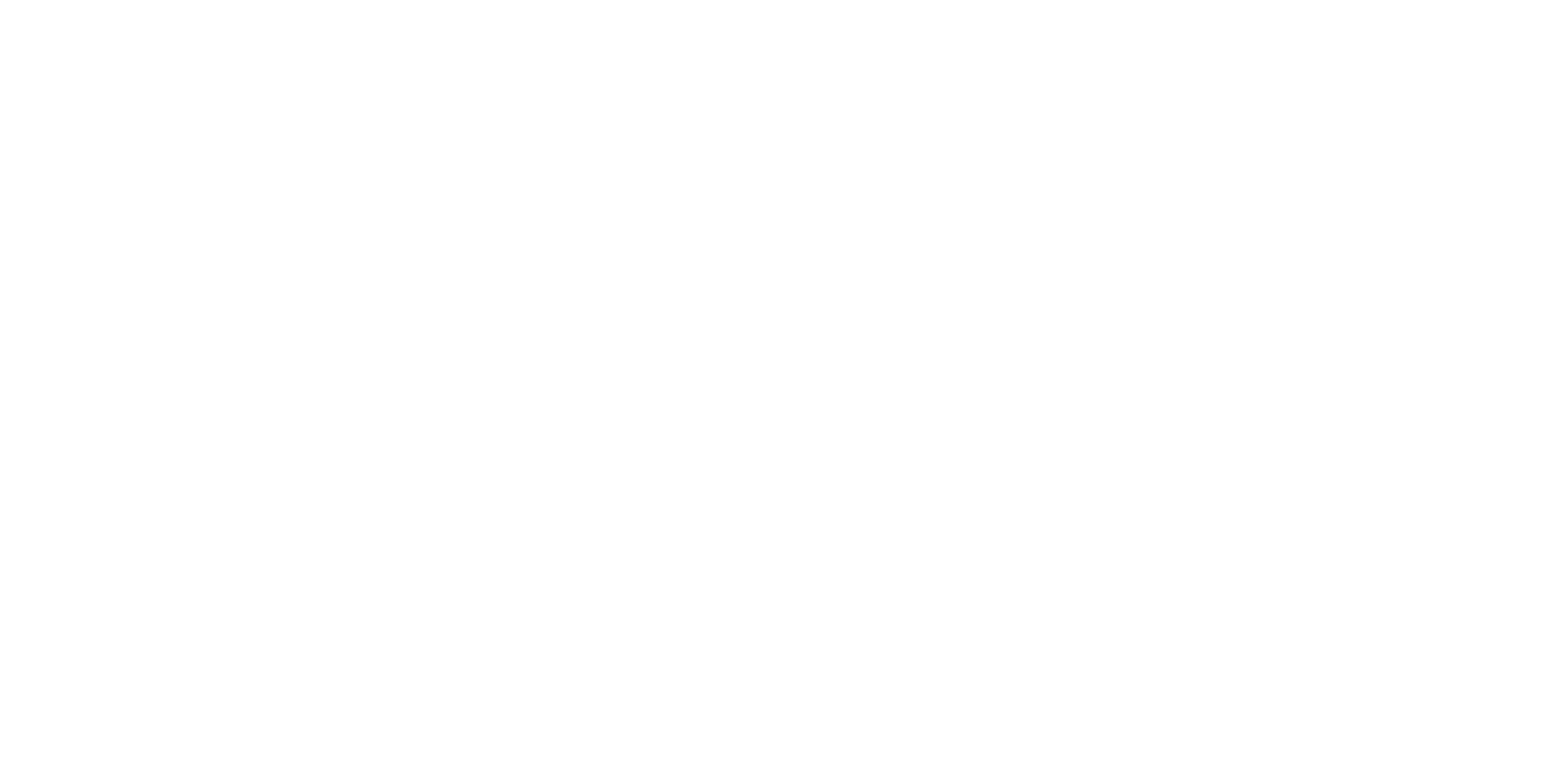 SCHOEN INSULATION SERVICES, LLC logo